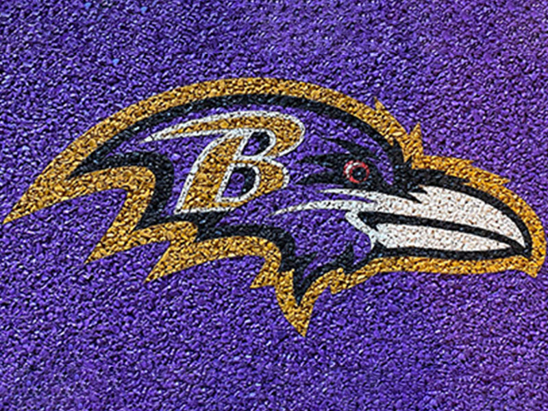 Baltimore Ravens logo featuring a stylized raven head with a letter "B" on a textured purple background.