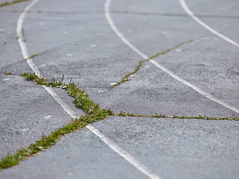 A track with grass growing on it.
