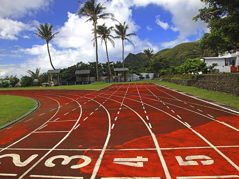 A red road with a tree in the middle.